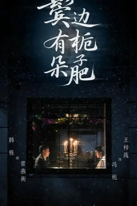 鬓边有朵栀子肥(全集)