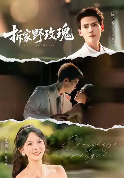 拆家野玫瑰(全集)