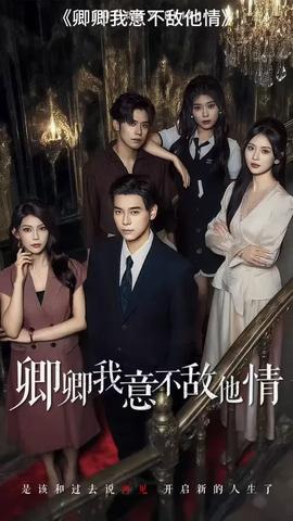 卿卿我意不敌他情(全集)
